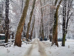 Put u snijegu