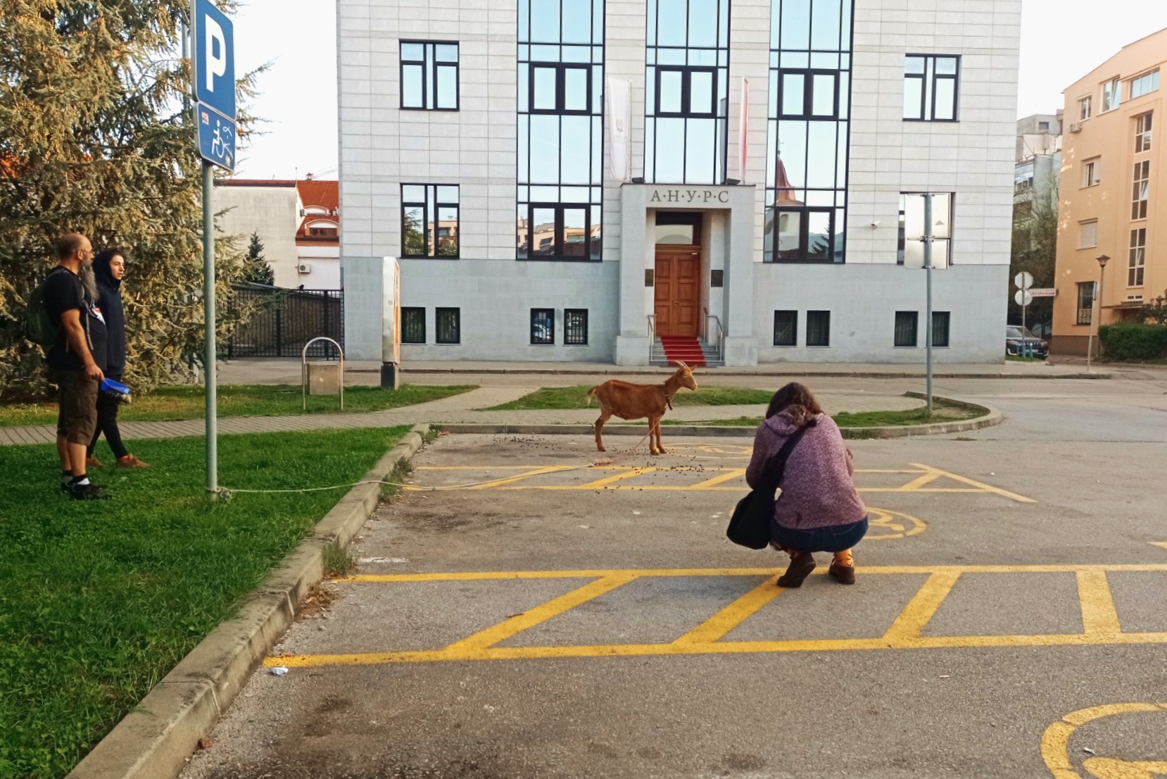 Banjalučka umjetnica Jelena Medić postavlja nam svima jedno 