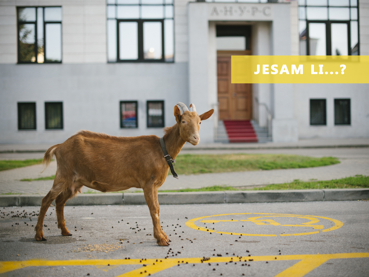 Banjalučka umjetnica Jelena Medić postavlja nam svima jedno 