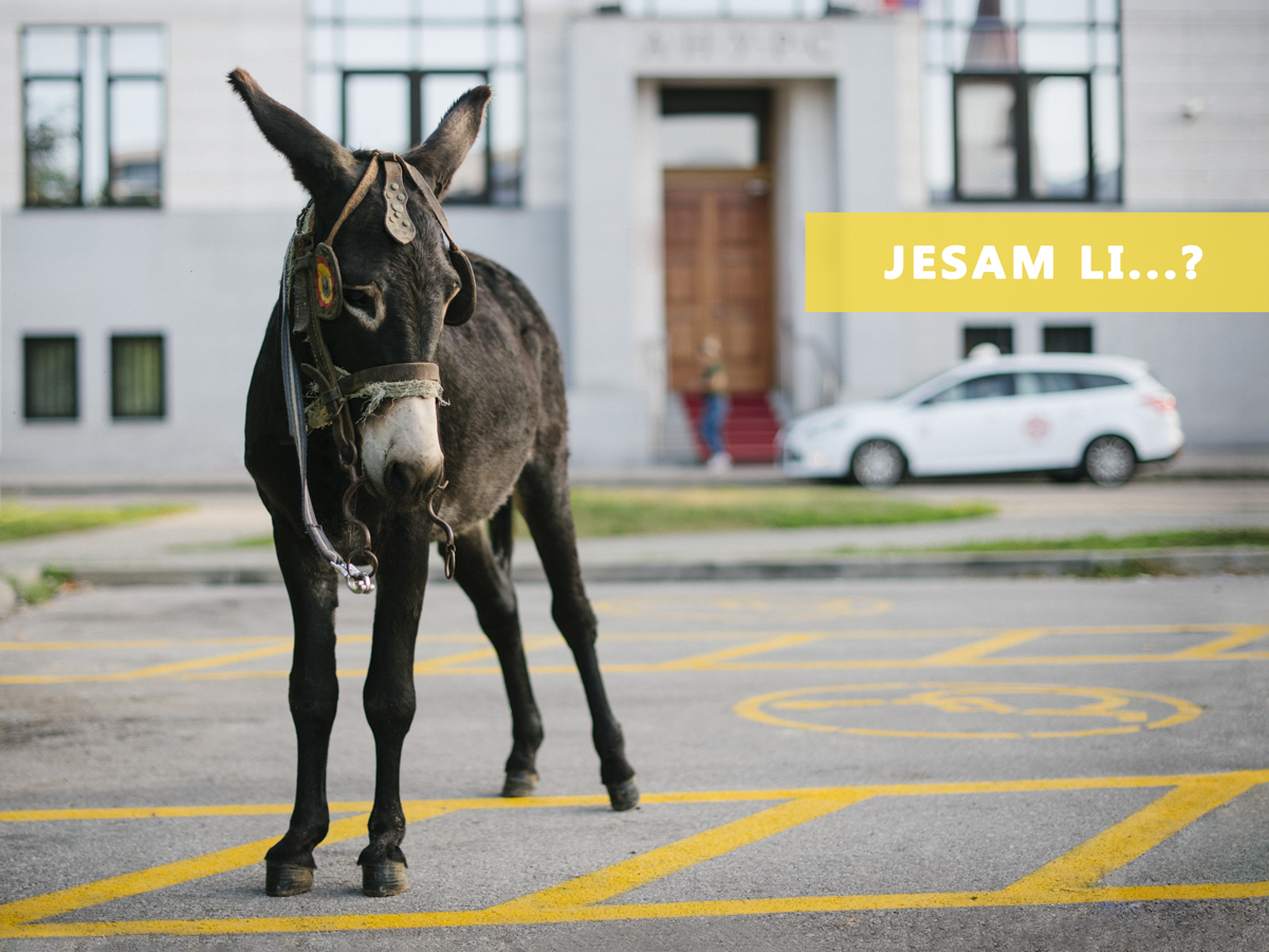 Banjalučka umjetnica Jelena Medić postavlja nam svima jedno 